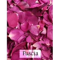 2 x Flower Girl Baskets with Rose Petals